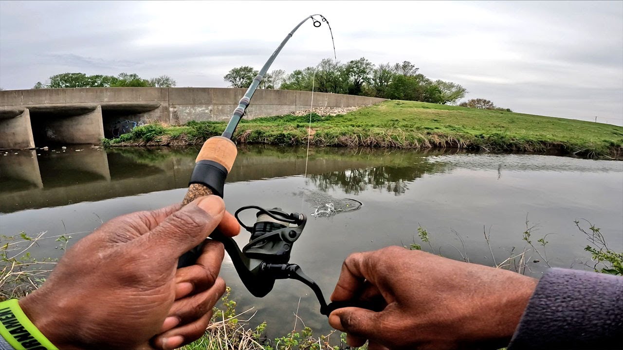 Creek Fishing Adventures! LOADS OF FISH & ACTION!!!