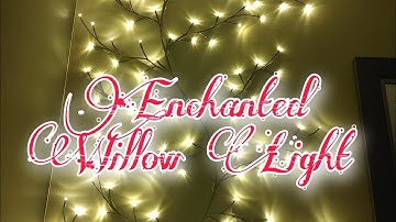 How to install Enchanted Willow Light | Twinkling Tree Light