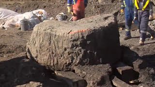 Worker Discovers 100 Million Year Old Remnants in an Oil Sands Mine