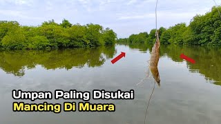 IT'S TRUE...!! Fishing Right in the Fish Nest, Harvesting Strikes to Your Heart's Content
