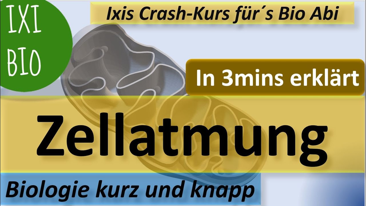 Zellatmung in 3 Minuten schnell erklärt - Biologie kurz und knapp ...