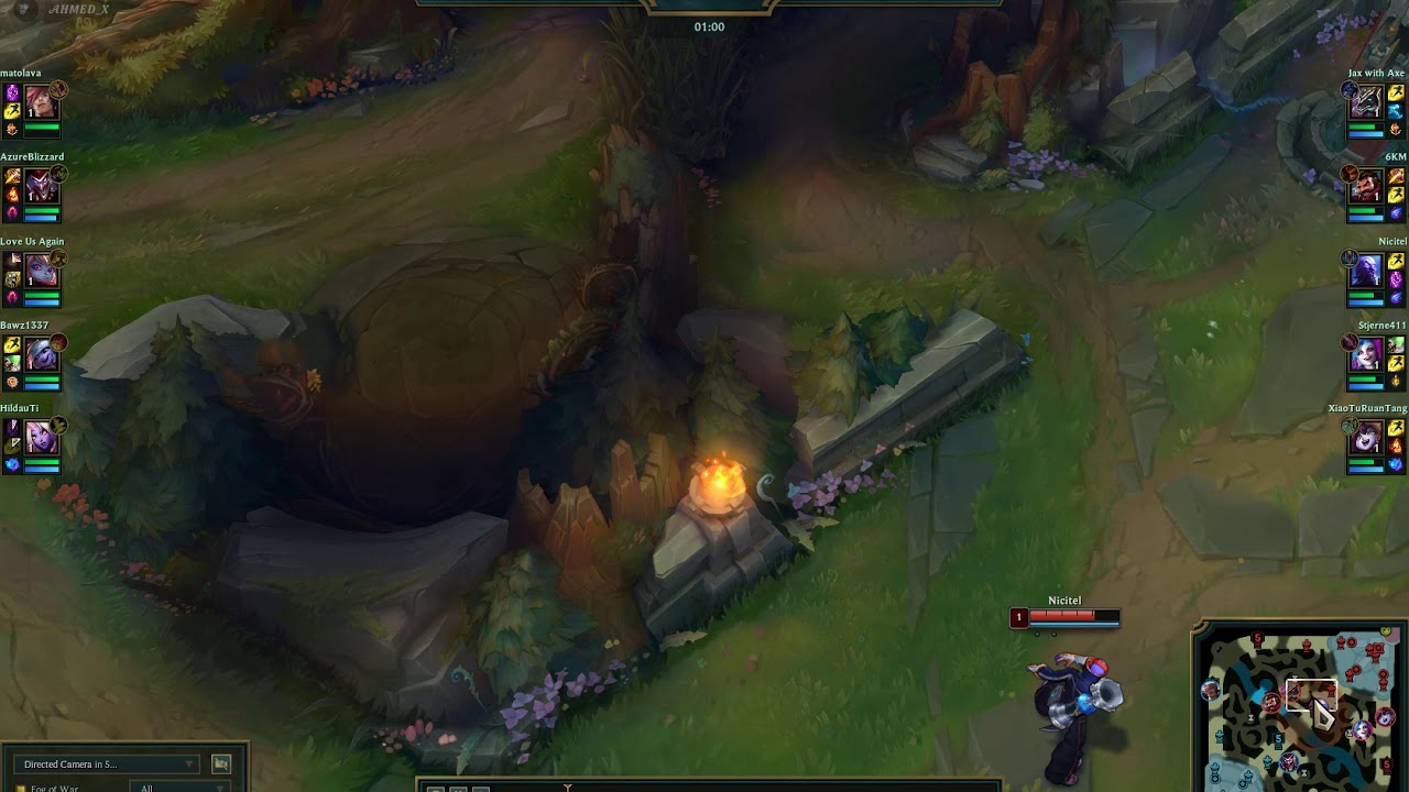 New Poppy Bug ( 2020 ) - YouTube