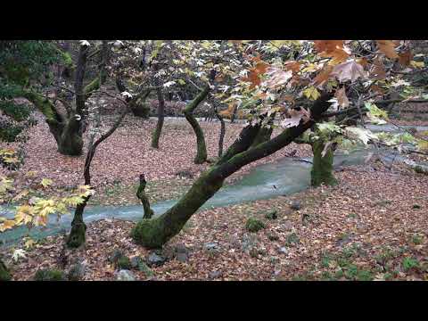 ΠΛΑΝΗΤΕΡΟ ΑΧΑΪΑΣ UHD
