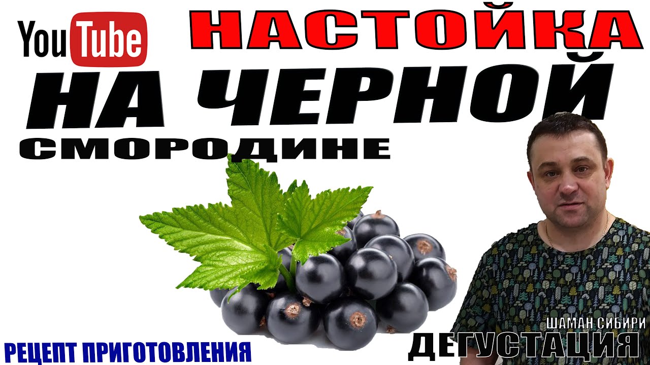 Настойка приготовленная из черносмородиновых листьев и ягод с добавлением тмина