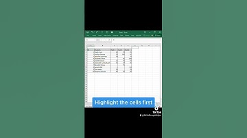 Excel Camera Function