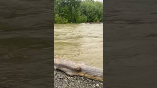 Застряли на острове. Часть 1. #рыбалка #дальний_восток #fishing #природа #рыба
