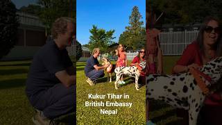 Beautiful Kukur Tihar Moments at British Embassy Nepal | Festival of Dogs 🐾 #shorts