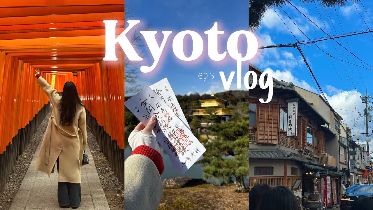 교토 버스투어 당일치기 | 후시미 이나리⛩️ | 청수사 | 금각사 | 아라시야마 