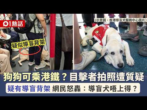 【01熱話】狗可以坐港鐵嗎？目擊者公審乘客帶狗入車廂 網民圍攻：導盲犬喎｜01熱話｜港鐵｜導盲犬