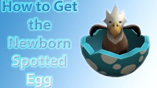 Roblox How To Get Newborn Spotted Egg - newborn spotted egg roblox 2019