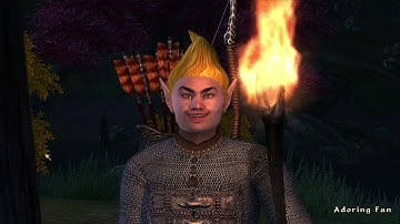 Day 447 - Killing Adoring Fan Every Day Until Elder Scrolls Skyblivion is Released