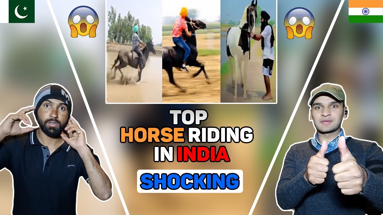 Pakistani Reacts to Top Horse Punjab _ SIDHU MOOSEWALA song_ Horse Videos _ Horse Riding | Reaction