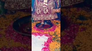 nai Dulhan ka graph Pravesh 🎇🎉🎇#ytshort#new home entry#trendingvideo #entry #newsong #viral video🎉✨🧿