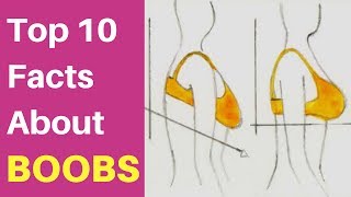 Interesting Facts About Boobs You Probably Don't Know