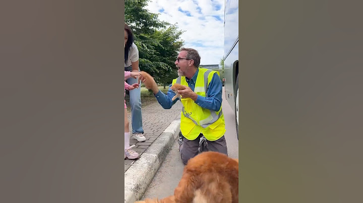 Incredible Dog Rescues Kittens from Bus - Inspiring Story #shorts