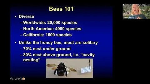 Bee-ing a Better Gardener: Using Research to Suppo...