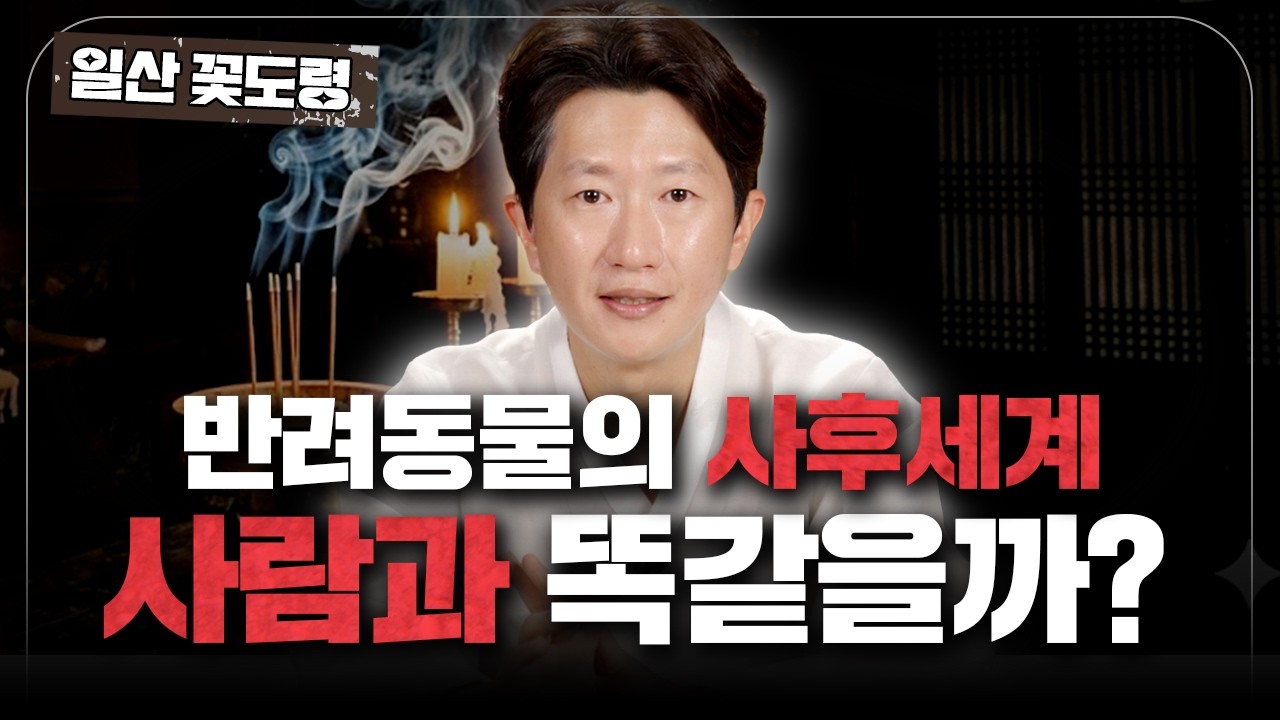 반려동물이 무지개 다리를 건너면 정말 사후세계가 있을까? 🌈[일산 꽃도령] #용한점집 #유명한점집