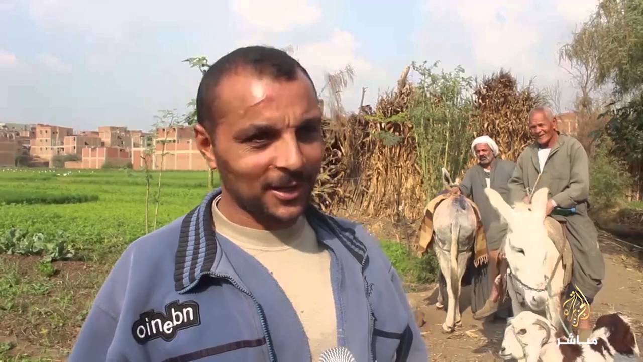 #شاهد ..  رأي بعض الفلاحين بمحافظة القلوبية عن اداء نقيب الفلاحين في الآونة الأخيرة