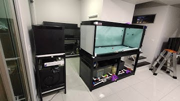 Third ซอยลาซาล - งานเคลื่อนย้ายตู้ปลาพร้อมปลา + ยกไปทั้งระบบก่อนทำการติดตั้งใหม่ยกชุด วันที่ 1 Set 4