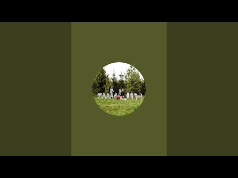 Прямой эфир с 10 #хаски