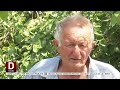 Afrička kuga svinja - država upire prstom u uzgajivače, ali i u inspekciju, opozicija u ministr