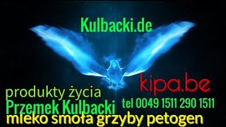 Zdechlak Odzył Na Produktach Życia, Magia W Magicznym Mleku