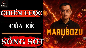 Bí Quyết Trading Thầy Tôi Truyền Lại: Chiến Lược Của Kẻ Sống Sót!