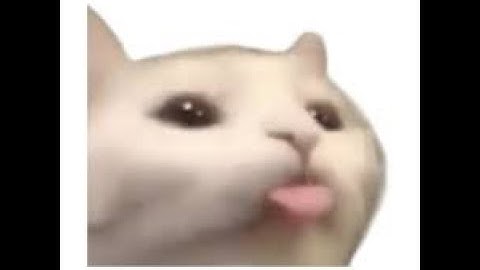 Is this the Krusty Krab  in 24 different languages Redux