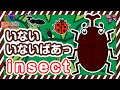 いないいないばぁっ(昆虫編)|子供向け知育動画