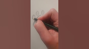 How to draw a paw print! 🐾 🐾 #pawprints, #viral, #shorts, #likeandsubscribe
