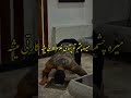 شیری که با خوک در بیافته اول خودش نجس میشه رفیق برادرانه بهت میگم با هر بی شرفی در نیوفت 