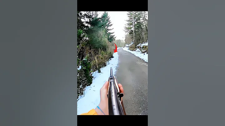 охота на кабана в снежных джунглях #wildboar #chase #hunting #challenge #chasse #cinghiale