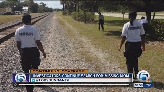 Multiple agencies conduct grid search for missing Hobe Sound mother