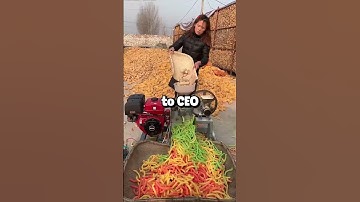 A coworker declared. Boss says you never contribute anything to this team. At the staff meeting...