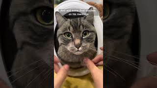 Tabby is always the most difficult to make. Scrappy's portrait turned out so beautiful❤️ #art #pets Tabby is always the most difficult to make. Scrappy's portrait turned out so beautiful❤️ #art #pets