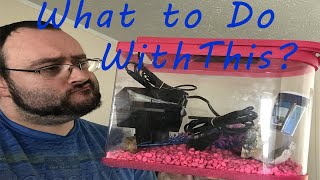 What to Stock In My 2.5 Gallon Tank? || Stocking A Fish Tank
