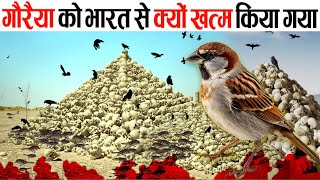 भारत से गौरैया को क्यों ख़त्म किया गया !! why sparrows are disappearing