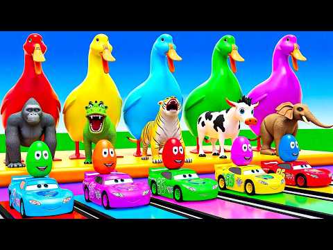 Long Slide Game With Cow Elephant Gorilla Hippopotamus Tiger 3d Animal Game Funny 3d Animals