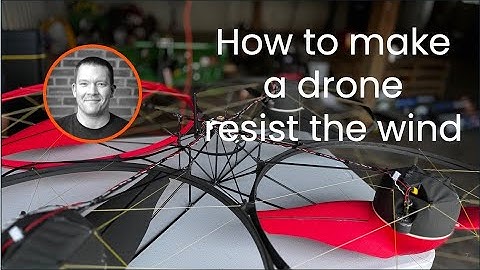 The Art of Disturbance Rejection | Secrets to Ultra-Stable Drone Flights