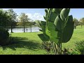 My small Garden tour