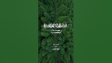 سورة الروم [ ٤۱ - ٤٤ ]❄️#فارس_عباد❄️