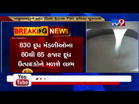 Rajkot: District milk producers union increases price of milk by Rs 20 per fat kg| TV9News