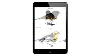 3D Images in The Warbler Guide App screenshot 3