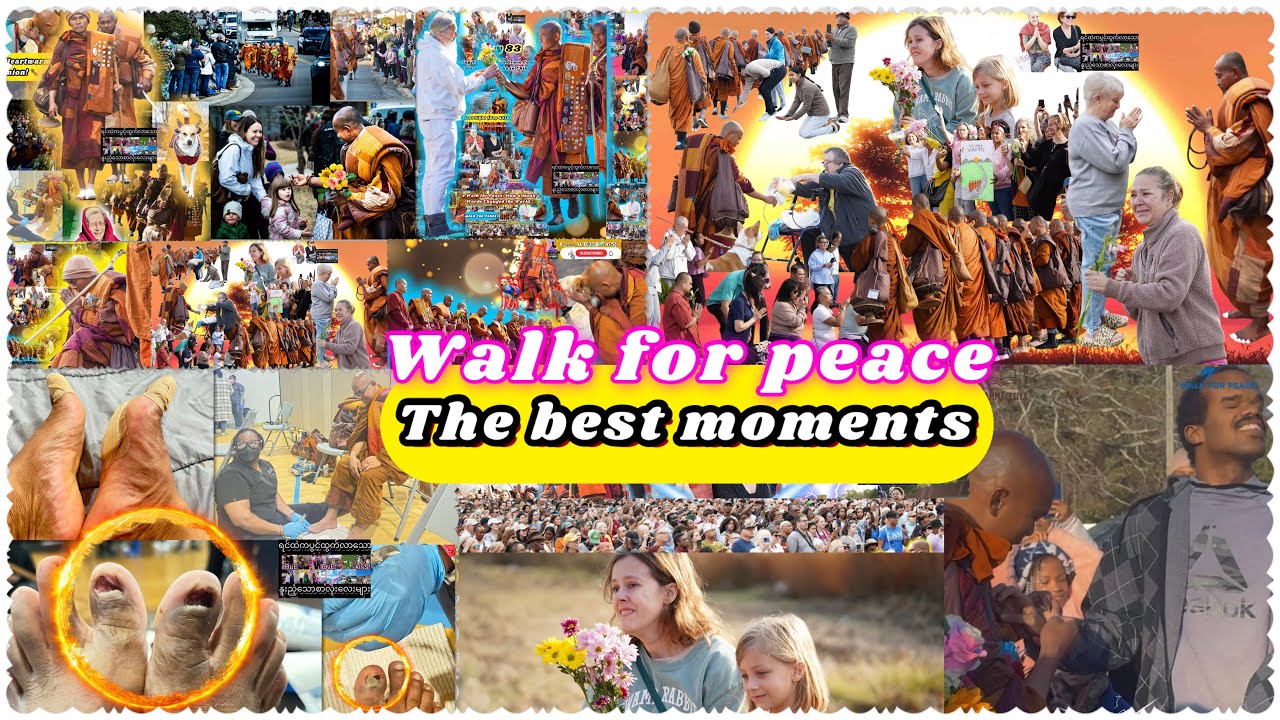 🌸Walk For Peace [ The Best Real Moments]🌸