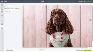 How to Upload Basic Images for Print Then Cut | Beginner Design Space Tutorial | Cricut™