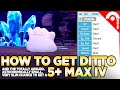 How to Get a 5+ MIX IV Ditto (And Why You Won't Want To) Pokemon Brilliant Diamond