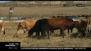 USkwatsha uchaze isimo esingesihle epulazini elingasebenzi