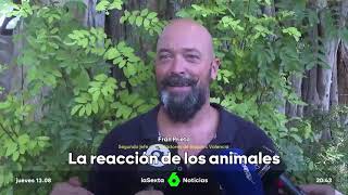 La Sexta: Animals disoriented by the eclipse. Statements by Fran Prieto, BIOPARC Valencia
