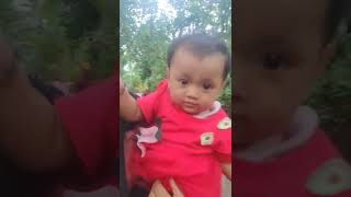 Jaran Kincak