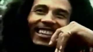Famous Bob Marley: On Media and Politics Net Worth